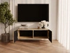 TV-Lowboard mit Türen 100 cm Kioto Artisan Eiche