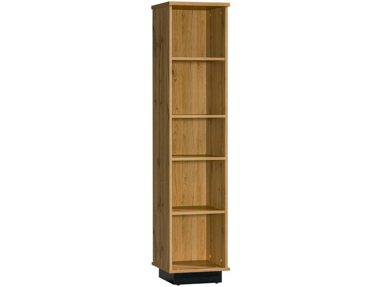 Offenes freistehendes Bücherregal für das Wohnzimmer Lavore Wotan Eiche, Schwarz matt
