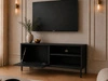 TV-Lowboard mit Türen 100 cm Soroko Schwarz