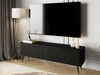 TV-Lowboard mit Türen 163 cm Latina Schwarz