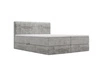 Boxspringbett mit Bettkasten 160x200 Forte Hellgrau
